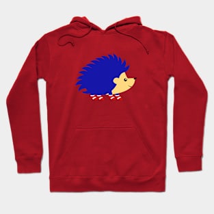 Cute Sonic Hoodie